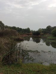-水八仙生态园