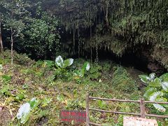 -海口火山口国家地质公园