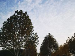 -渡江战役纪念馆