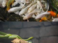 -正佳雨林生态植物园