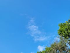 -星巴克(广州中华广场B1层店)