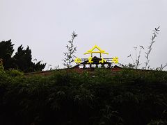 -松茸小馆·云南特色餐厅