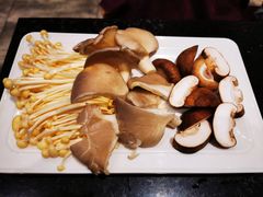 -红鼎坊·老成都火锅(新南门店)