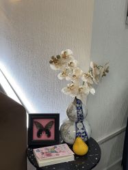 -小梨·OndaPro·专业脱毛连锁机构