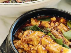 -陈麻婆豆腐总店