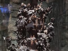 -乐山乌木文化博览苑