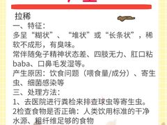 -猫猫幼稚园·撸猫·桌游·电玩
