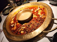 -新哥老官·畅吃123·美蛙世界(苏宁广场店)