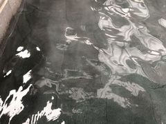 -咸宁万豪温泉谷度假区