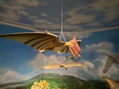 -安徽省地质博物馆