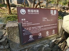 -都江堰中华大熊猫苑
