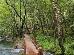 -叠溪松坪沟景区