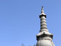 -长沙黑麋峰国家森林公园