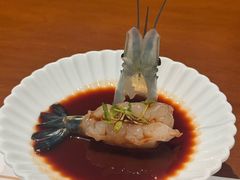 -觀芷隐轩