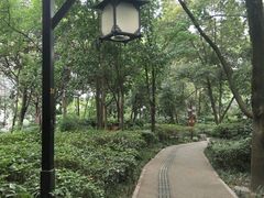 -成都市活水公园