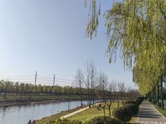 -洨河生态公园