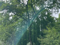 -杭州植物园