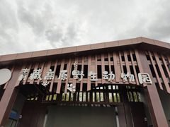 -青藏高原野生动物园