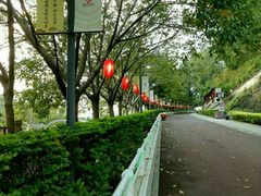 -厦门博饼民俗园