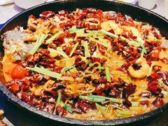 老板恋上鱼-老板恋上鱼(恒隆广场店)