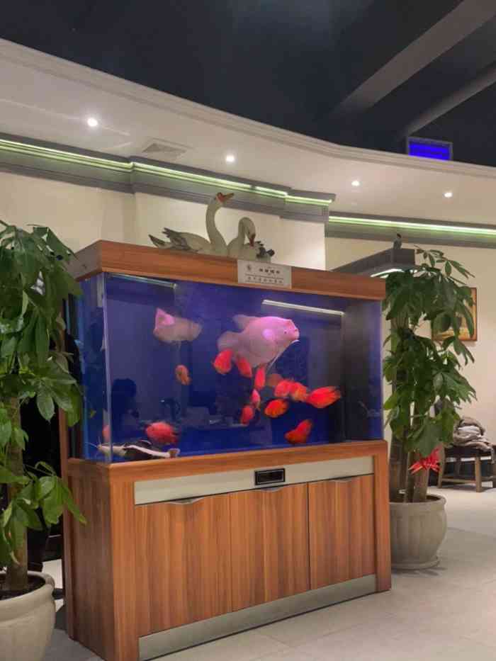 宁海食府(四明中路店)