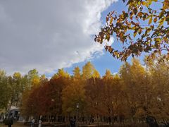 -长春世界雕塑园冰雪艺术天地