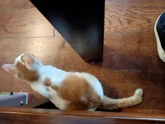 -251#coffee roasters(沿河东路店)