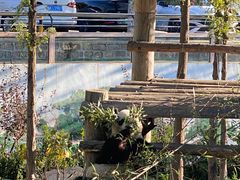 -西霞口神雕山野生动物世界