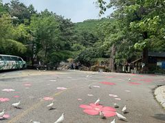 -燕塞湖鸟语林景区