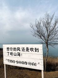 -绽放摄胶片摄影工作室