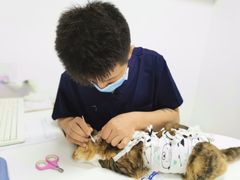 -联萌宠物医院(猫病专科)