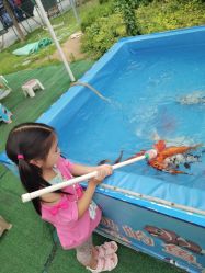 -萌宠亲子动物乐园(槐房万达店)