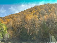 -苏木山森林公园