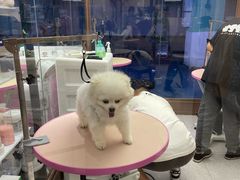 -FAELING PETS美天灵宠物(富力广场店)