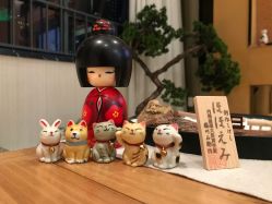 -JNK皮肤管理中心