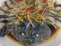 -煲来饱去冷水鱼
