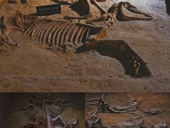 -洛阳周王城天子驾六博物馆