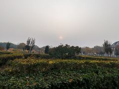 -廊坊文化艺术中心