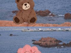 -青岛海滨风景区-鲁迅公园