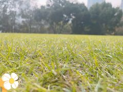 -重庆中央公园(渝北区)