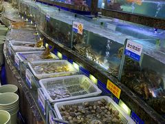 水产区-欢乐海岸美食联盟