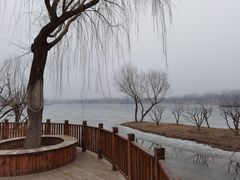 -东郊湿地公园