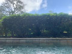 -森波拉火山温泉