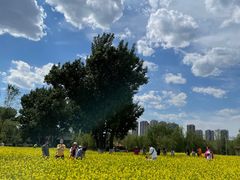 -长白岛森林公园