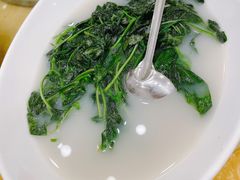-鸿达渔港