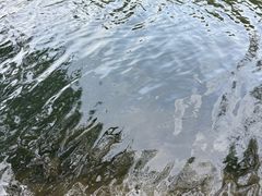 -贵阳市花溪国家城市湿地公园