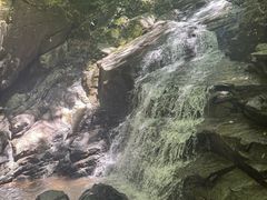 -藏龙百瀑风景区