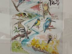 -中国湿地博物馆