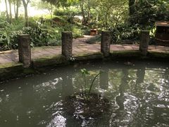 -成都市活水公园