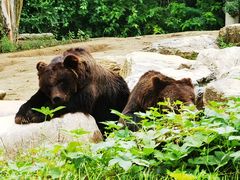 -北京野生动物园